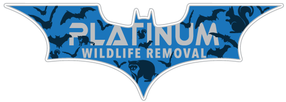 Marion Wildlife Control